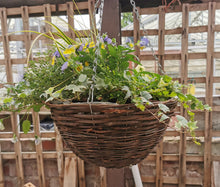 Load image into Gallery viewer, Hanging Basket 14&quot;
