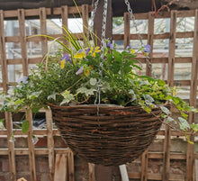 Load image into Gallery viewer, Hanging Basket 14&quot;
