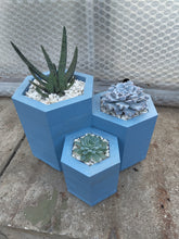 Load image into Gallery viewer, Octagonal Trio in Boathouse Blue
