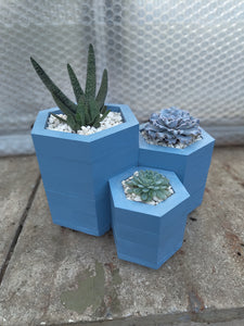 Octagonal Trio in Boathouse Blue