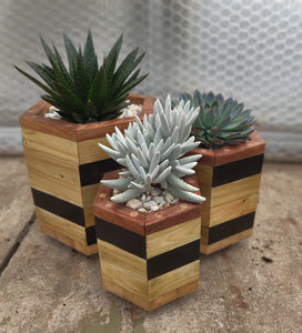 Octagon trio planter