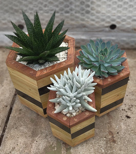 Octagon trio planter