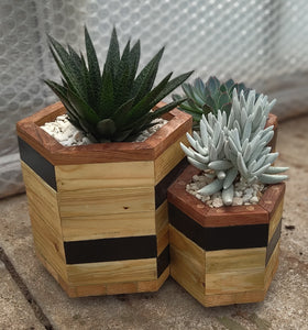 Octagon trio planter