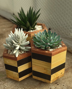 Octagon trio planter