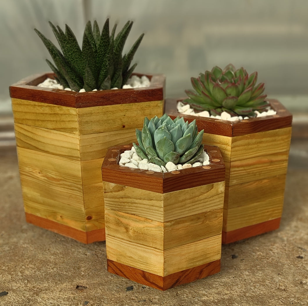 Octagon trio planter