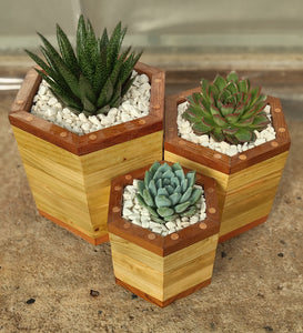 Octagon trio planter