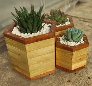 Octagon trio planter