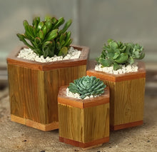 Load image into Gallery viewer, Octagon trio planter
