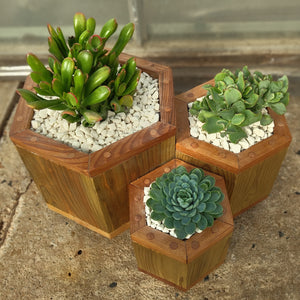 Octagon trio planter