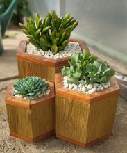 Load image into Gallery viewer, Octagon trio planter
