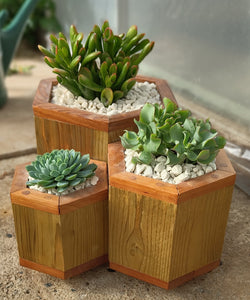 Octagon trio planter