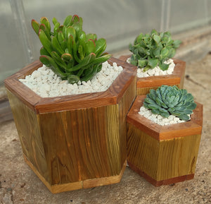 Octagon trio planter