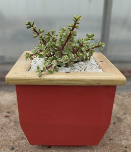 Wooden indoor planter Red