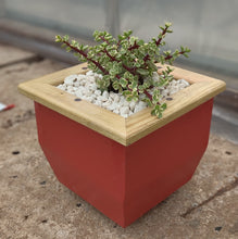 Load image into Gallery viewer, Wooden indoor planter Red
