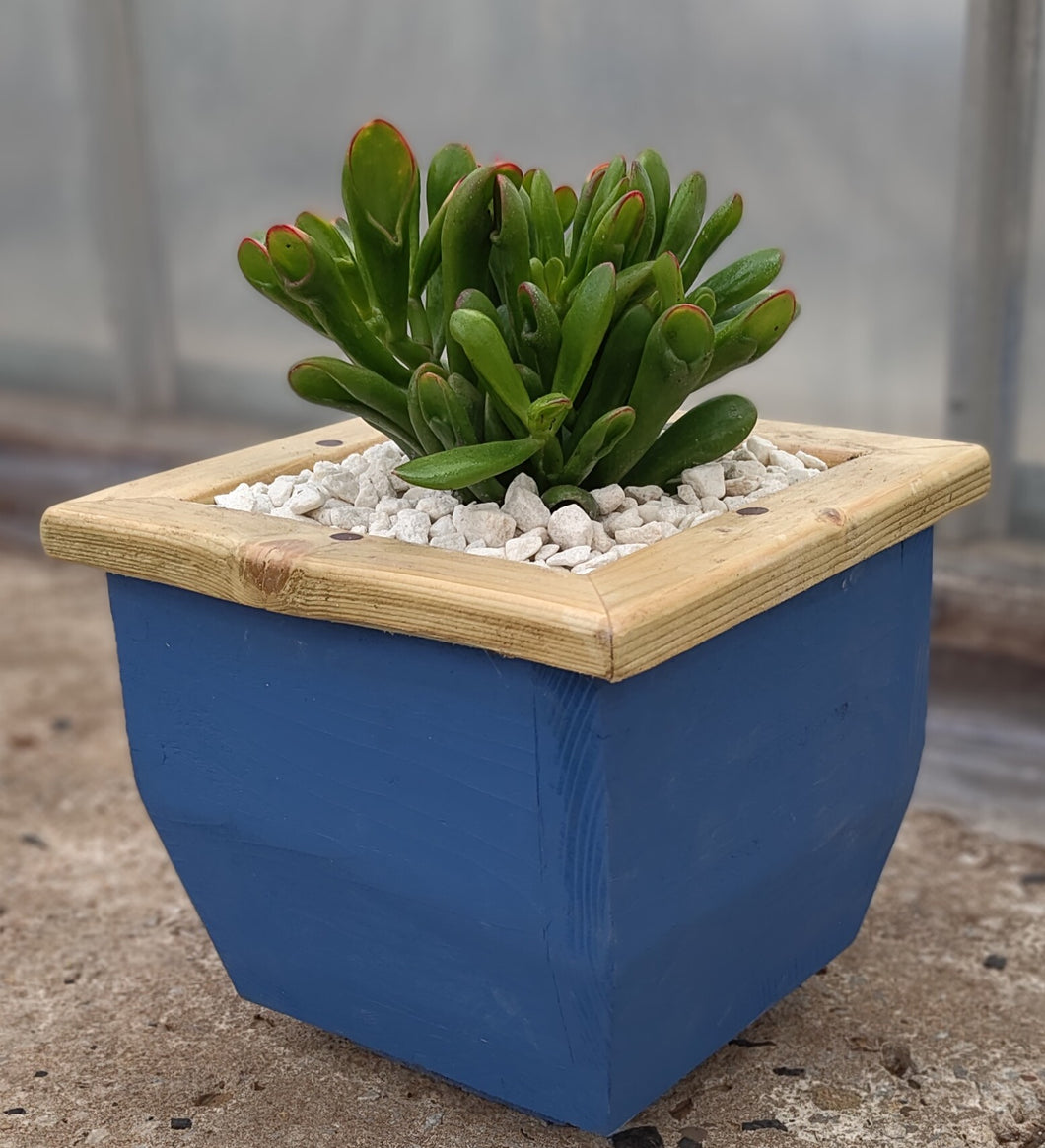 Wooden indoor planter Blue