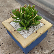 Load image into Gallery viewer, Wooden indoor planter Blue
