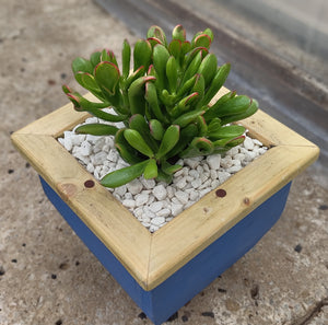 Wooden indoor planter Blue