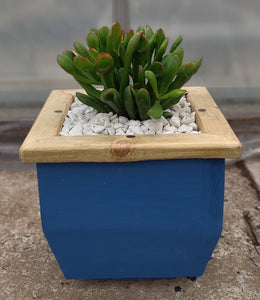 Wooden indoor planter Blue