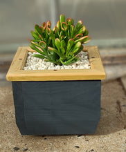 Load image into Gallery viewer, Wooden indoor planter Graphite
