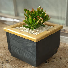 Load image into Gallery viewer, Wooden indoor planter Graphite
