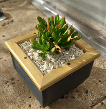 Load image into Gallery viewer, Wooden indoor planter Graphite
