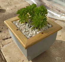 Load image into Gallery viewer, Wooden indoor planter Slate
