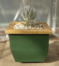 Load image into Gallery viewer, Wooden indoor planter Green
