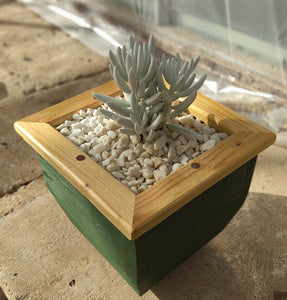 Wooden indoor planter Green