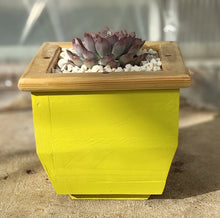 Load image into Gallery viewer, Wooden indoor planter Yellow
