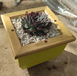 Wooden indoor planter Yellow