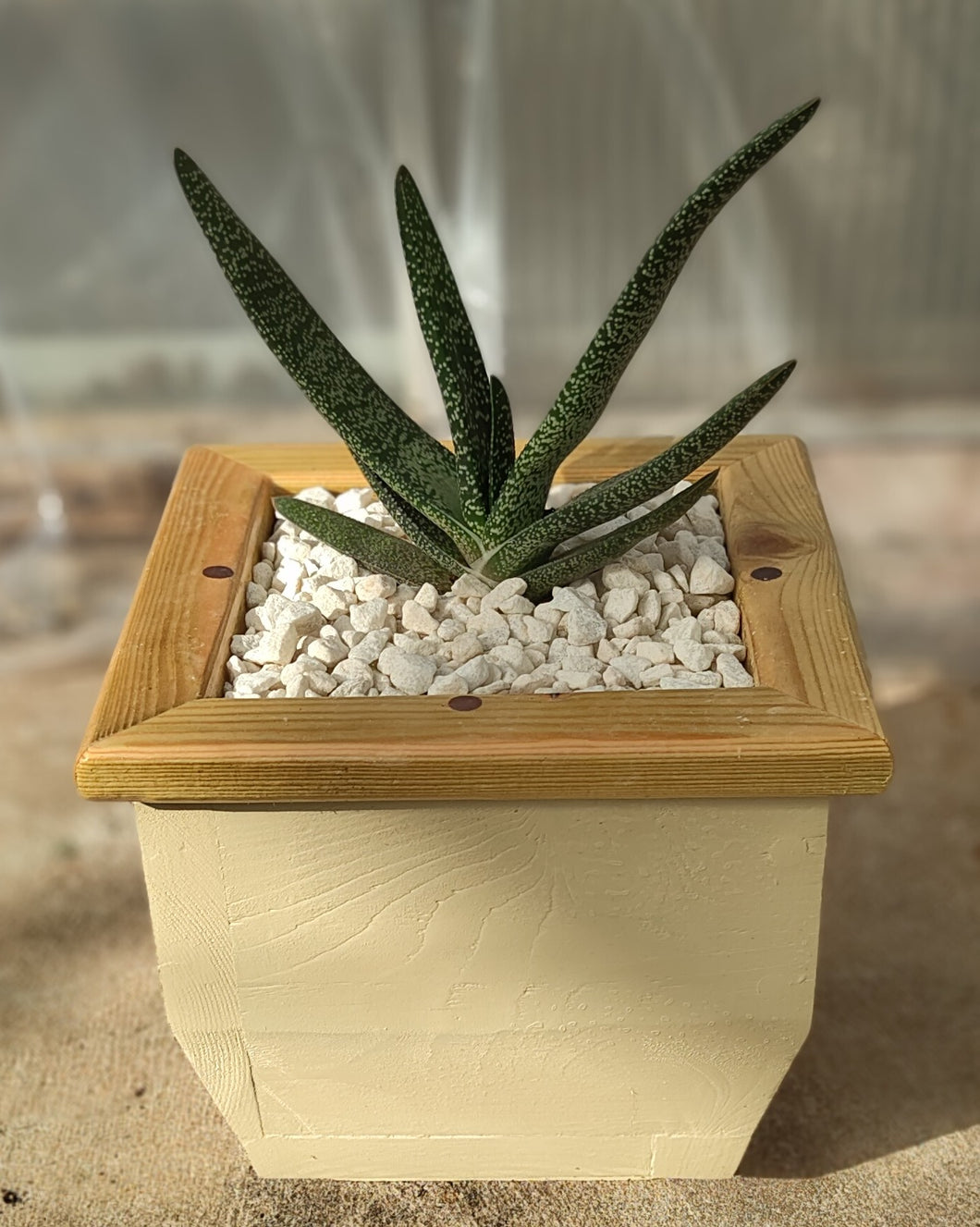 Wooden indoor planter Cream