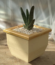 Load image into Gallery viewer, Wooden indoor planter Cream
