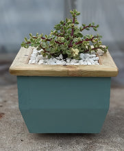 Load image into Gallery viewer, Wooden indoor planter Sage
