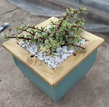 Load image into Gallery viewer, Wooden indoor planter Sage
