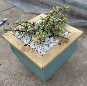 Wooden indoor planter Sage