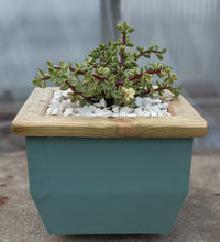 Load image into Gallery viewer, Wooden indoor planter Sage
