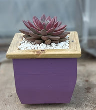 Load image into Gallery viewer, Wooden indoor planter Plum
