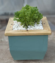 Load image into Gallery viewer, Wooden indoor planter Sage
