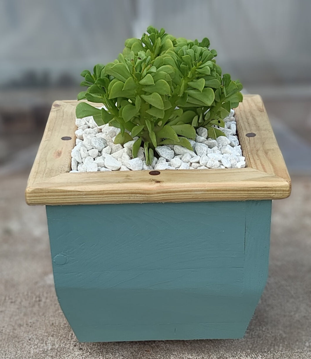 Wooden indoor planter Sage