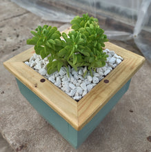 Load image into Gallery viewer, Wooden indoor planter Sage
