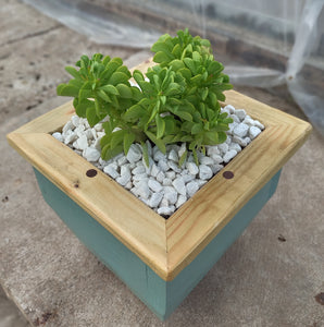 Wooden indoor planter Sage