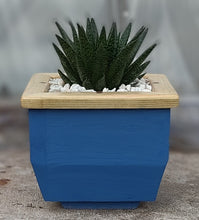 Load image into Gallery viewer, Wooden indoor planter Blue
