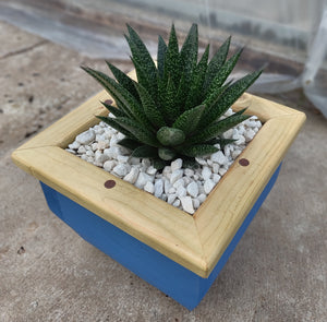 Wooden indoor planter Blue