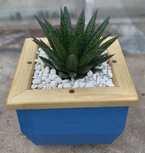 Wooden indoor planter Blue