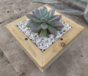 Wooden indoor planter Cream