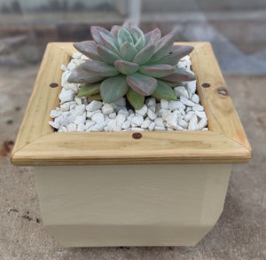 Wooden indoor planter Cream