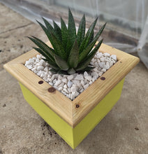 Load image into Gallery viewer, Wooden indoor planter Yellow
