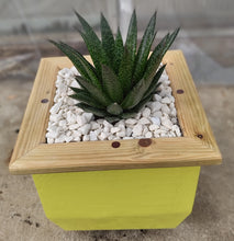 Load image into Gallery viewer, Wooden indoor planter Yellow
