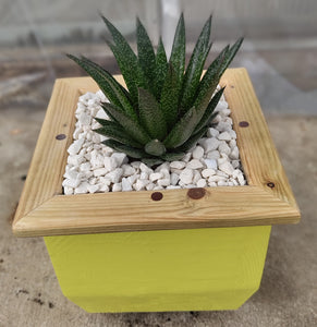 Wooden indoor planter Yellow