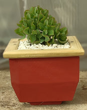 Load image into Gallery viewer, Wooden indoor planter Red
